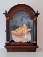 Kijkkast schelp diorama in antieke klokkast Gigas Strombus, Antiek en Kunst, Ophalen of Verzenden