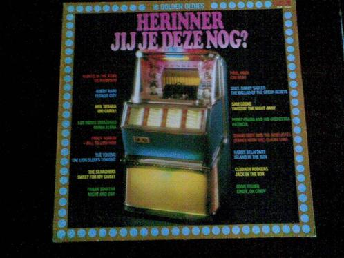 LP - Herinner jij je deze nog? - 16 Golden Oldies, Cd's en Dvd's, Vinyl | Verzamelalbums, Pop, Ophalen of Verzenden