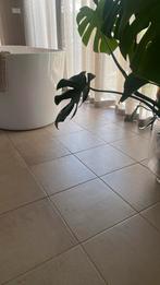 Have keramieke tegels, Ophalen, Keramiek, Nieuw, Minder dan 5 m²