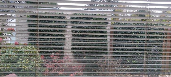 Nieuwe Sunway Jaloezieën - Crème - 2 Maten, Huis en Inrichting, Stoffering | Gordijnen en Lamellen, Nieuw, 200 cm of meer, 200 cm of meer