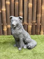 Mooie grote Border Collie nr.2380, Ophalen, Nieuw, Beton, Dierenbeeld
