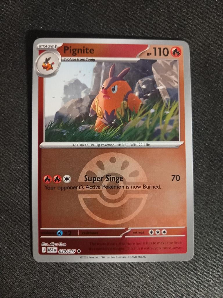 Pokemon Pignite 030/217 Ascended Heroes Poke Ball Reverse NM, Verzenden, Zo goed als nieuw, Losse kaart, Foil