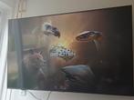 Samsung tv 65 inch 2024, Ophalen of Verzenden, Nieuw