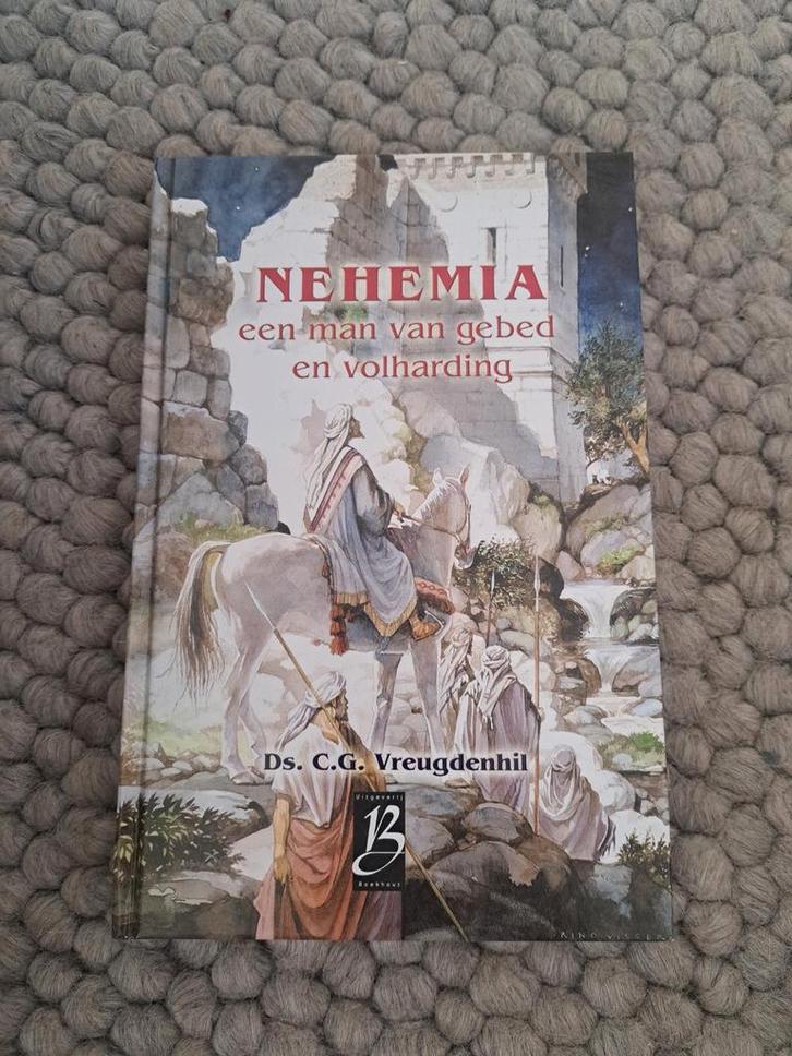 Nehemia: Een man van gebed en volharding, Boeken, Godsdienst en Theologie, Gelezen, Christendom | Katholiek, Christendom | Protestants