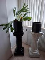 Decoratieve zuilen met plantenbak, Huis en Inrichting, Woonaccessoires | Zuilen en Pilaren, Ophalen of Verzenden, Gebruikt