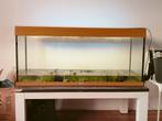 Complete 240 liter Juwel aquarium, Ophalen, Zo goed als nieuw, Leeg aquarium