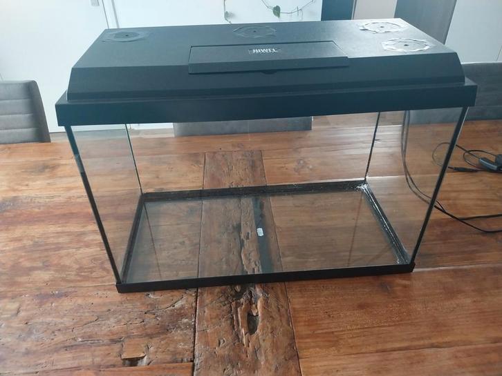 Aquarium compleet!, Dieren en Toebehoren, Vissen | Aquaria en Toebehoren, Zo goed als nieuw, Gevuld zoetwateraquarium, Ophalen of Verzenden