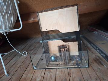 Grote hamsterkooi  beschikbaar voor biedingen