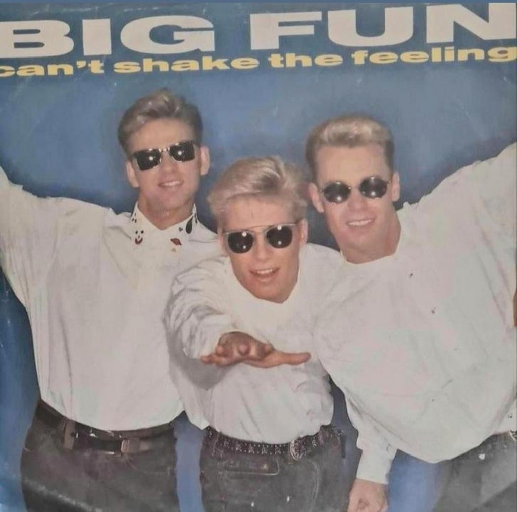 BIG FUN - CAN'T SHAKE THE FEELING, Ophalen of Verzenden, Gebruikt, Pop