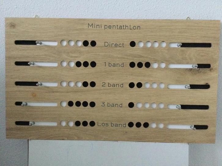 Pentathlon scorebord., Sport en Fitness, Biljarten en Poolen, Nieuw, Overige typen, Ophalen of Verzenden