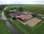 Stalling (met weidegang) vrij op kleinschalig pensionstal, Dieren en Toebehoren, Stalling en Weidegang, Weidegang, 1 paard of pony