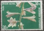 Nepal, Ophalen of Verzenden, Gestempeld, Centraal-Azië