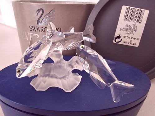 Swarovski Tropisch vissen incl.doos & certificaat, Verzamelen, Swarovski, Nieuw, Ophalen of Verzenden
