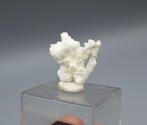 Aragoniet - Chihuahua, Mexico, Ophalen of Verzenden, Mineraal