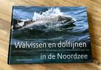 Walvissen en Dolfijnen in de Noordzee Kees Camphuyzen, Ophalen of Verzenden, Zo goed als nieuw, Kees Camphuyzen, Vissen