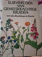 Kruiden boek, Ophalen of Verzenden, Zo goed als nieuw