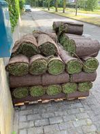 Graszoden, Tuin en Terras, Gras en Kunstgras, Verzenden, Nieuw, 20 m² of meer, Gras