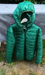 CERRUTI Winterjas XL - Zo Goed Als Nieuw!, Maat 56/58 (XL), Ophalen of Verzenden, Groen, CERRUTI
