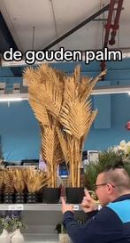 Gouden palmboom Action gezocht, Ophalen of Verzenden, Zo goed als nieuw, Binnen