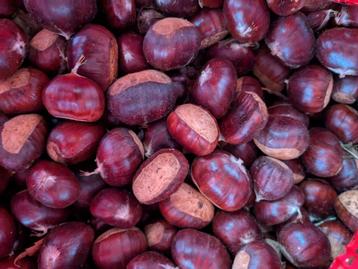 Verse tamme kastanjes te koop beschikbaar voor biedingen