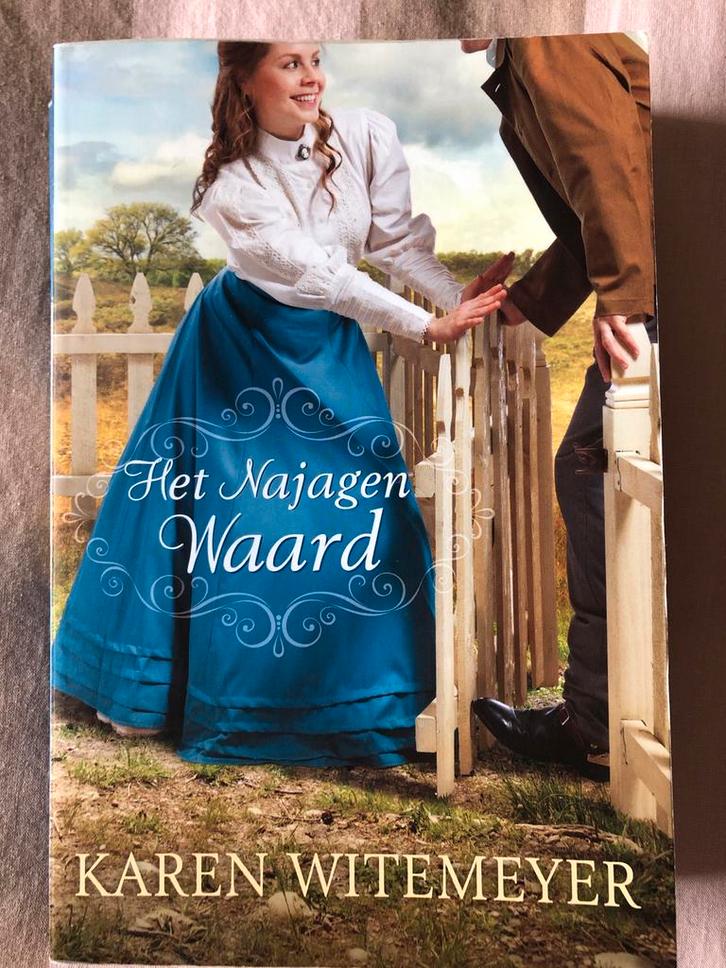 Het Najagen Waard - Karen Witemeyer, Boeken, Romans, Zo goed als nieuw, Nederland, Ophalen of Verzenden