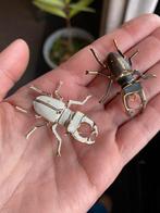 2x vliegend hert broches, vintage, Sieraden, Tassen en Uiterlijk, Broches, Ophalen of Verzenden, Gebruikt, Overige materialen