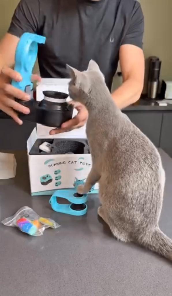 Katten Speelgoed Jachtsimulator, Dieren en Toebehoren, Katten-accessoires, Nieuw, Verzenden