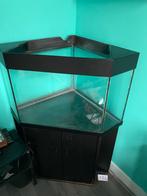 Hoek aquarium, Dieren en Toebehoren, Vissen | Aquaria en Toebehoren, Ophalen, Gebruikt, Leeg aquarium