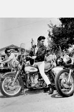 Harley-Davidson Duo Glide - FL - FLH - 1956 foto, Verzenden, Foto, Nieuw, Voor 1940