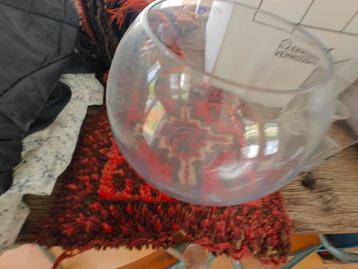 Glazen Aquarium / Vissenkom beschikbaar voor biedingen
