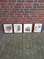 4 schilderijen prenten omlijst natuur, Antiek en Kunst, Ophalen of Verzenden