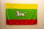 Vlag van Zuidlaren 39581, Diversen, Vlaggen en Wimpels, Ophalen of Verzenden, Gebruikt