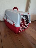 Te koop, Poes katten bak., Ophalen