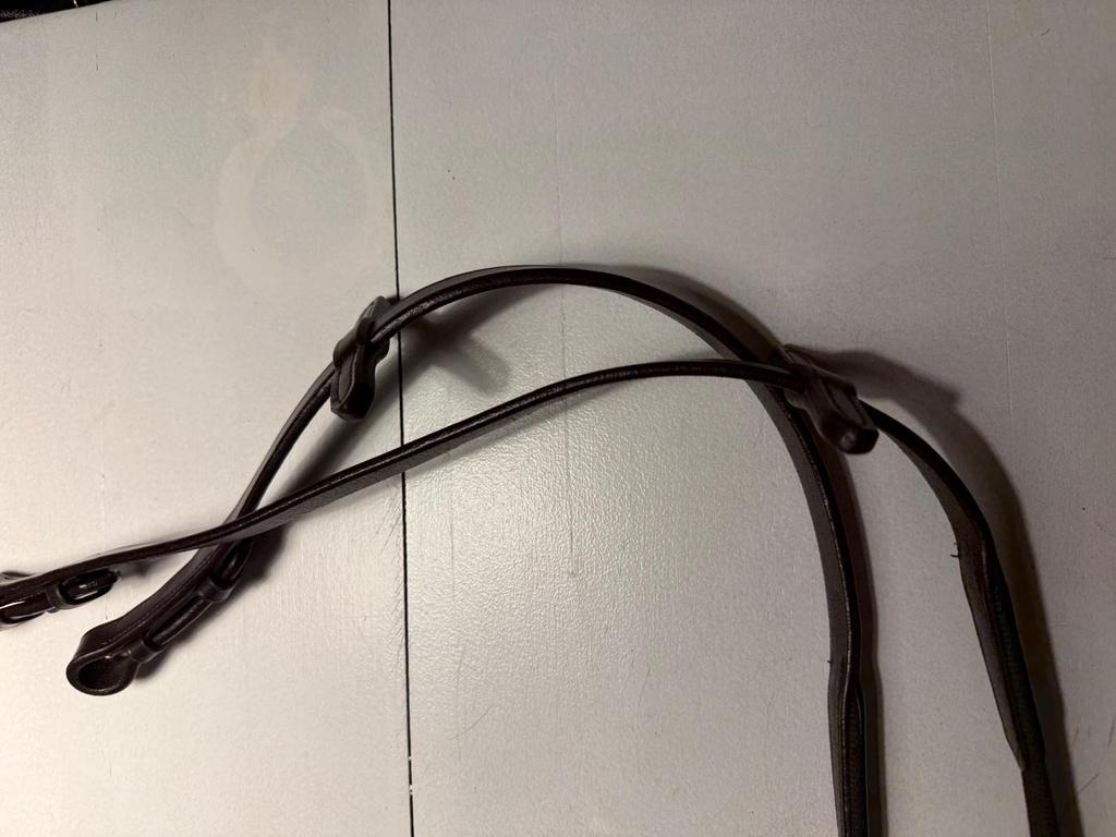 Donkerbruine teugels, Dieren en Toebehoren, Ophalen of Verzenden, Zo goed als nieuw