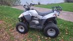 E-ton Vector 250cc quad automaat autorijbewijs met kenteken, Motoren