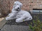 Betonnen Shar-Pei Tuinbeeld, Ophalen of Verzenden, Zo goed als nieuw, Beton, Dierenbeeld