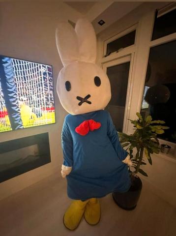 Nijntje mascotte te huur beschikbaar voor biedingen