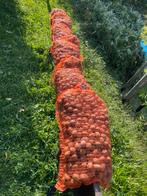 Bio walnoten gedroogd nieuwe oogst 4,25 per kilo, Ophalen of Verzenden