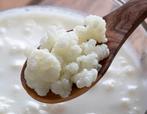 Prachtig, gezonde melk kefir ofwel yogurtplantje, Diversen, Levensmiddelen, Ophalen