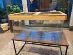 Hamsterhok met accessoires en houten zelfgemaakte deksel, Dieren en Toebehoren, Zo goed als nieuw, 75 tot 110 cm, Ophalen, Minder dan 60 cm