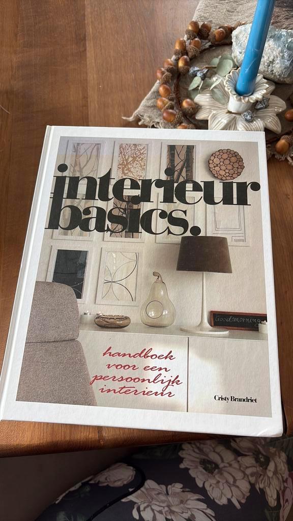 Cristy Brandriet - Interieurbasics, Boeken, Wonen en Tuinieren, Zo goed als nieuw, Interieur en Design, Ophalen of Verzenden