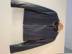Donkerblauw leren jasje Tommy Hilfiger S, Blauw, Ophalen of Verzenden, Zo goed als nieuw, Jasje
