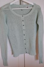 Mintgroen vest Bien Bleu, Kleding | Dames, Truien en Vesten, Zo goed als nieuw, Groen, Bien Bleu, Ophalen