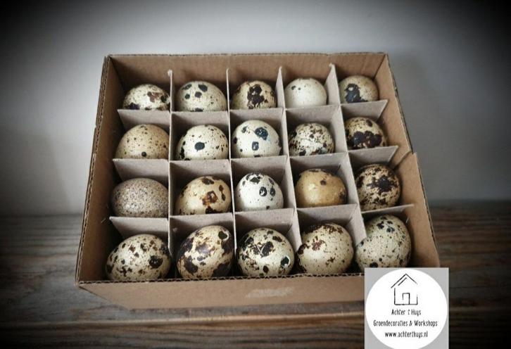 Kwarteleitjes doos 60 stuks - ei - pasen - krans  - stolp, Diversen, Pasen, Nieuw, Ophalen of Verzenden