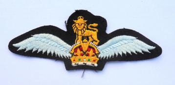 militair Pilot Glider Wing, British Army Flying wing beschikbaar voor biedingen