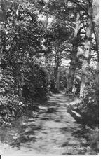 Groeten uit Oldebroek., Verzamelen, Ansichtkaarten | Nederland, Ophalen of Verzenden, 1940 tot 1960, Gelopen, Gelderland