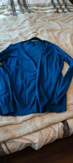 Koraalblauw vest, Blauw, Overige maten, Gedragen, Ned