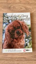 R. Bolmans - Cavalier King Charles spaniël, R. Bolmans, Ophalen of Verzenden, Zo goed als nieuw, Paarden of Pony's