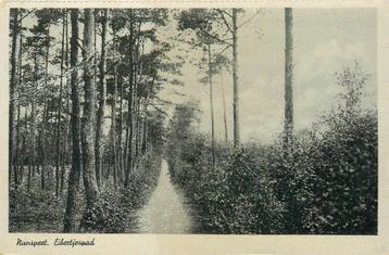 (387-142-035) Nunspeet Eibertjespad beschikbaar voor biedingen