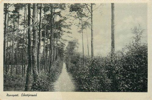 (387-142-035) Nunspeet Eibertjespad, Verzamelen, Ansichtkaarten | Nederland, Gelderland, Verzenden